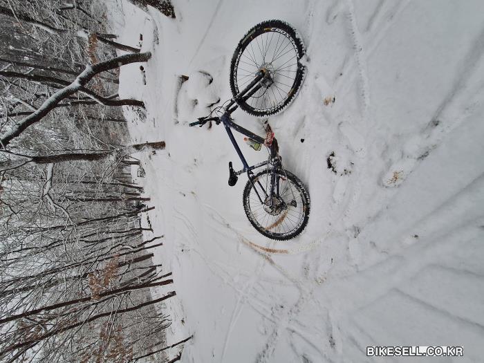 BIKESELL.CO.KR